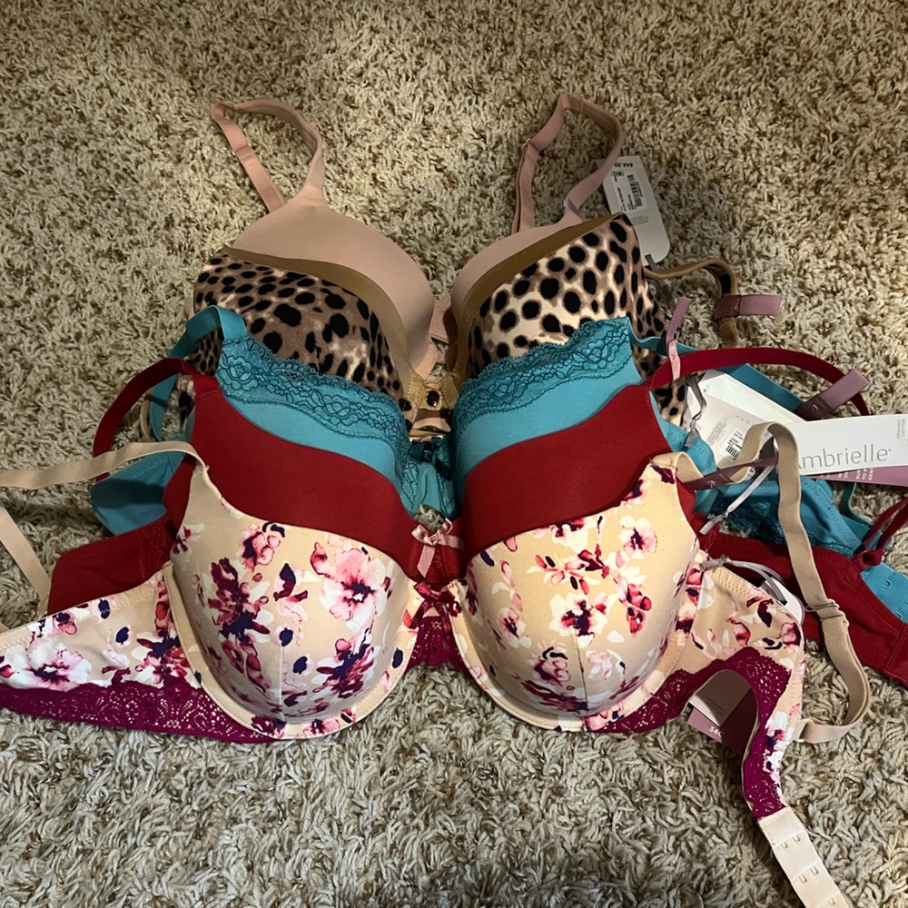 Five brand new bras 34c